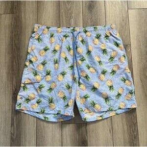Rainforest Blue Pineapple Print Brief Lined Swim Trunks Water Shorts Men's Large